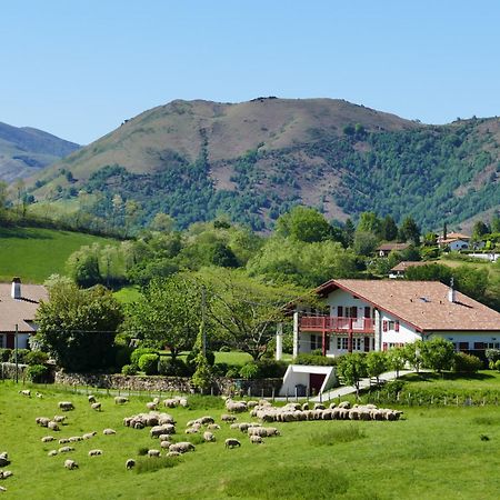 Baskoparadis I Eco-Gites I Calme I Vue I Anes I Jardin I Montagne I Nature Louhossoa Exterior foto