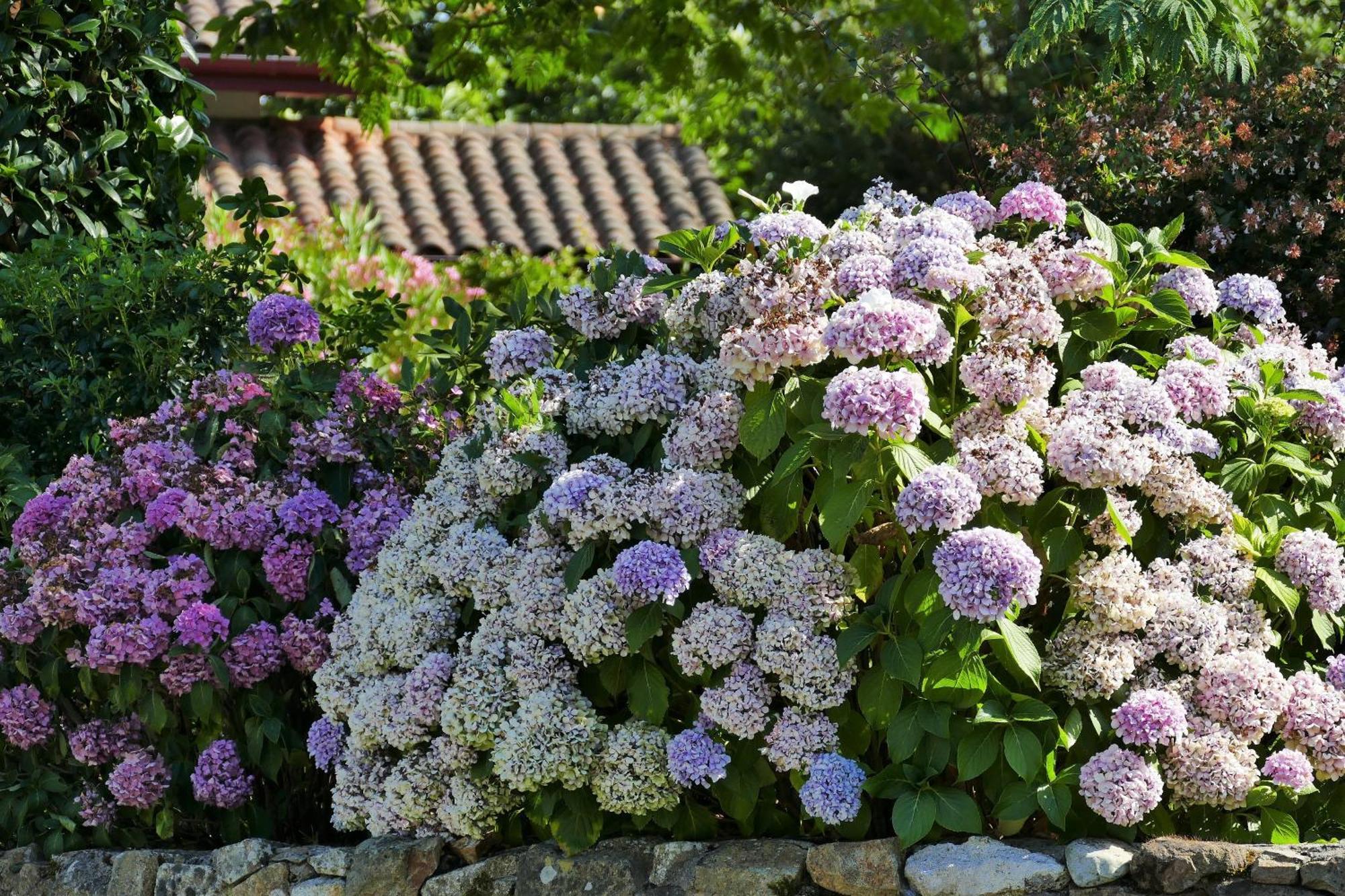 Baskoparadis I Eco-Gites I Calme I Vue I Anes I Jardin I Montagne I Nature Louhossoa Exterior foto