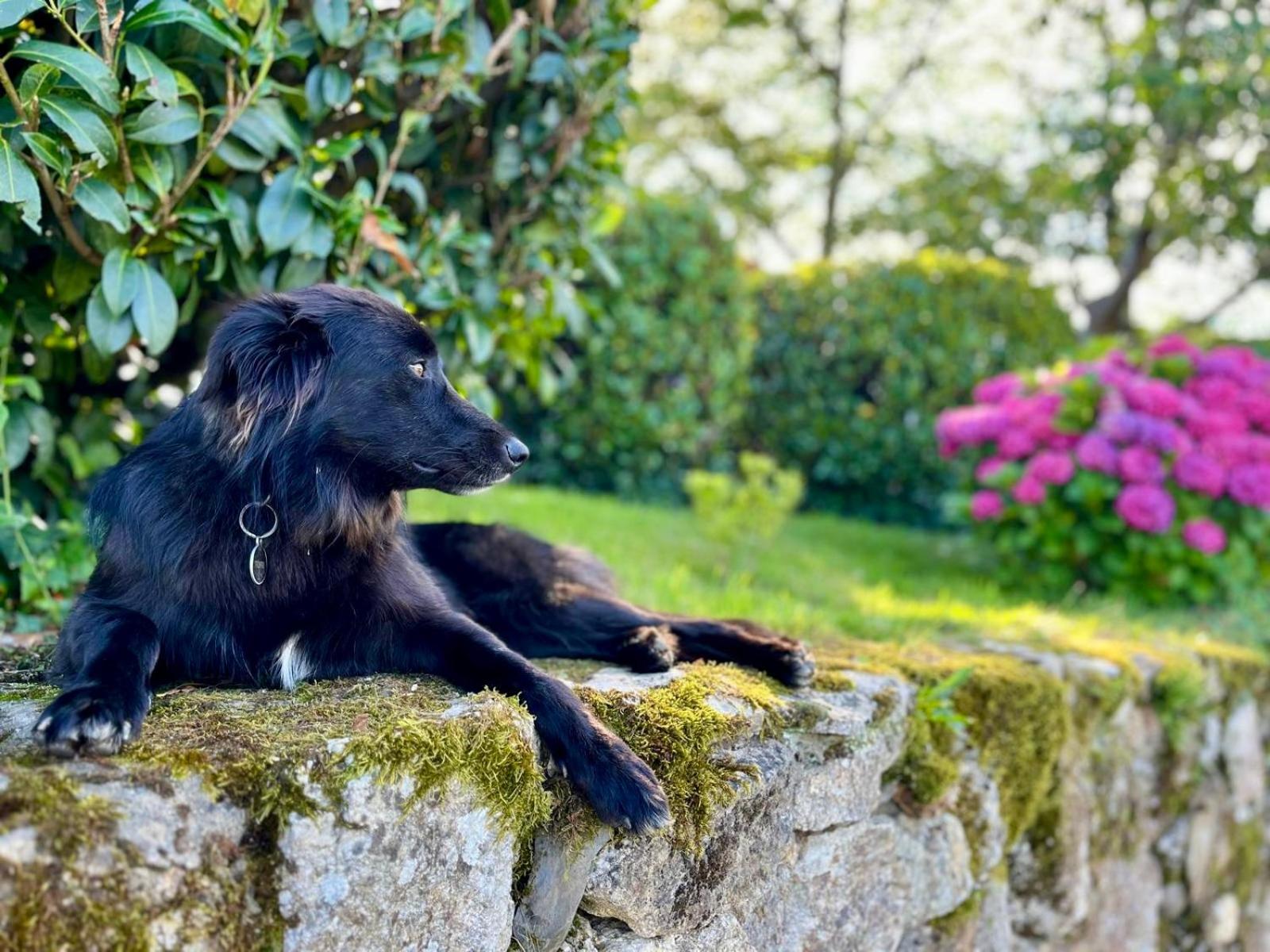 Baskoparadis I Eco-Gites I Calme I Vue I Anes I Jardin I Montagne I Nature Louhossoa Exterior foto