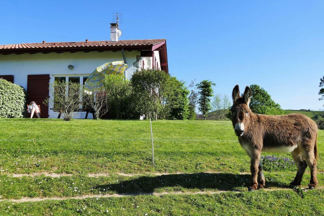 Baskoparadis I Eco-Gites I Calme I Vue I Anes I Jardin I Montagne I Nature Louhossoa Exterior foto
